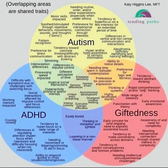 A venn diagram of ASD, ADHD, and Giftedness traits